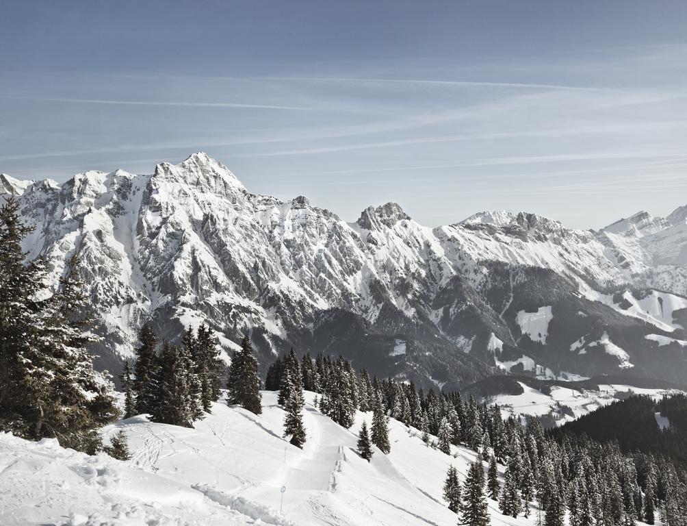 Ferienwohnung John Seymour Leogang Bilik gambar